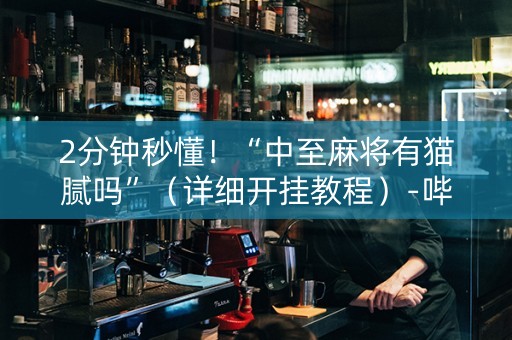 2分钟秒懂！“中至麻将有猫腻吗”（详细开挂教程）-哔哩哔哩