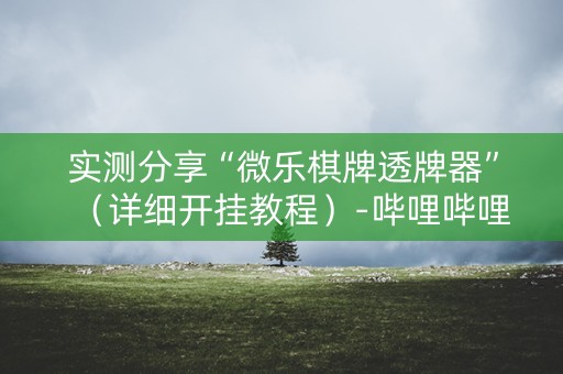 实测分享“微乐棋牌透牌器”（详细开挂教程）-哔哩哔哩