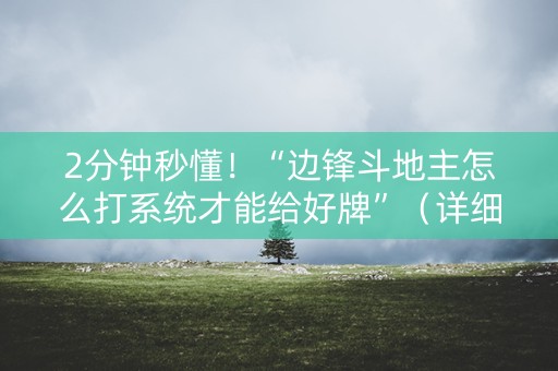 2分钟秒懂！“边锋斗地主怎么打系统才能给好牌”（详细辅助教程）-哔哩哔哩