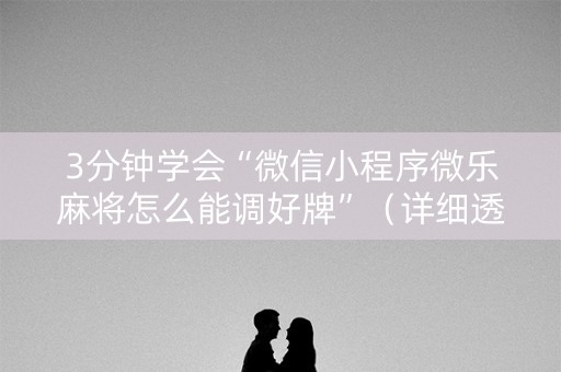 3分钟学会“微信小程序微乐麻将怎么能调好牌”（详细透视教程）-哔哩哔哩