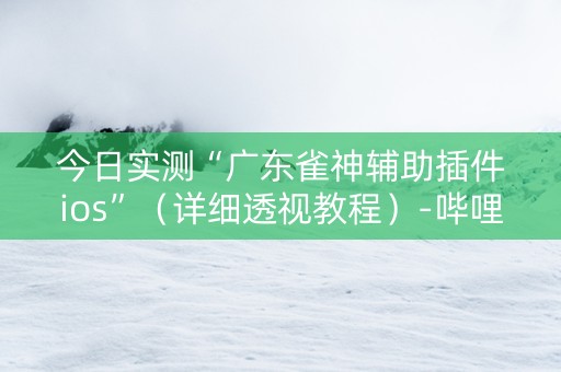 今日实测“广东雀神辅助插件ios”（详细透视教程）-哔哩哔哩