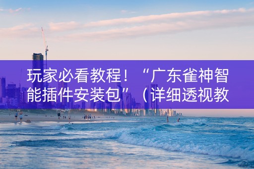 玩家必看教程！“广东雀神智能插件安装包”（详细透视教程）-哔哩哔哩
