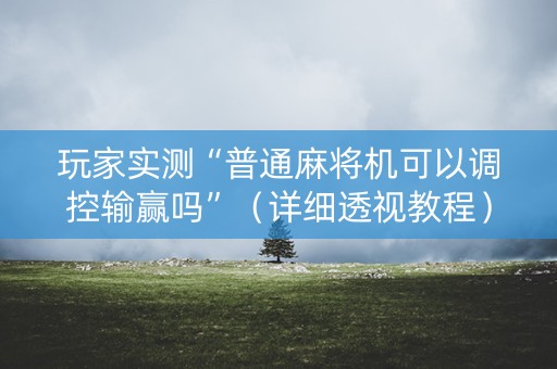 玩家实测“普通麻将机可以调控输赢吗”（详细透视教程）-哔哩哔哩
