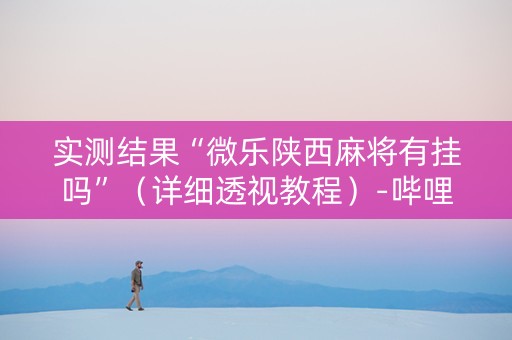实测结果“微乐陕西麻将有挂吗”（详细透视教程）-哔哩哔哩