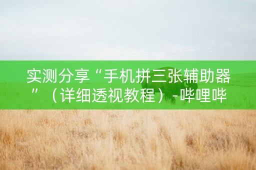 实测分享“手机拼三张辅助器”（详细透视教程）-哔哩哔哩