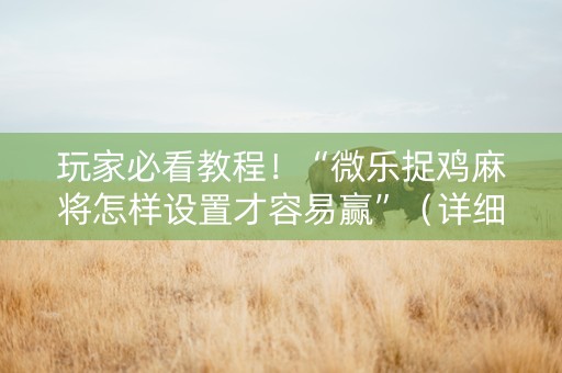 玩家必看教程！“微乐捉鸡麻将怎样设置才容易赢”（详细透视教程）-哔哩哔哩