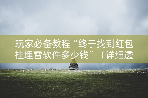 玩家必备教程“终于找到红包挂埋雷软件多少钱”（详细透视教程）-哔哩哔哩