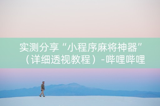 实测分享“小程序麻将神器”（详细透视教程）-哔哩哔哩