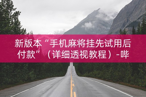 新版本“手机麻将挂先试用后付款”（详细透视教程）-哔哩哔哩