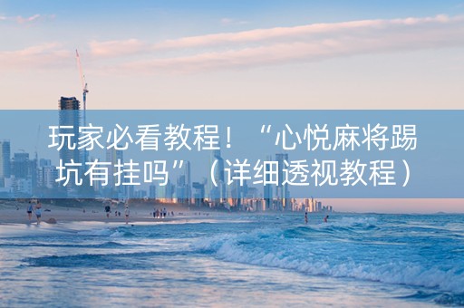 玩家必看教程！“心悦麻将踢坑有挂吗”（详细透视教程）-哔哩哔哩