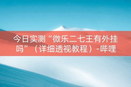 今日实测“微乐二七王有外挂吗”（详细透视教程）-哔哩哔哩