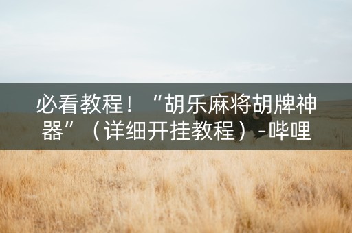 必看教程！“胡乐麻将胡牌神器”（详细开挂教程）-哔哩哔哩