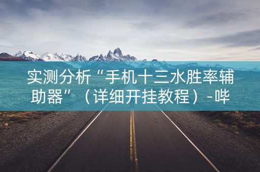 实测分析“手机十三水胜率辅助器”（详细开挂教程）-哔哩哔哩