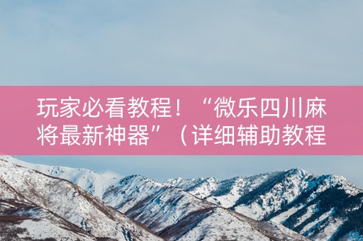 玩家必看教程！“微乐四川麻将最新神器”（详细辅助教程）-哔哩哔哩