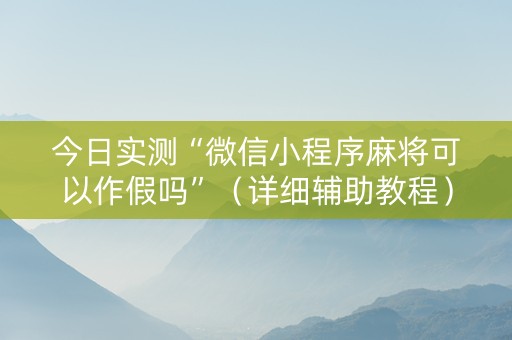 今日实测“微信小程序麻将可以作假吗”（详细辅助教程）-哔哩哔哩