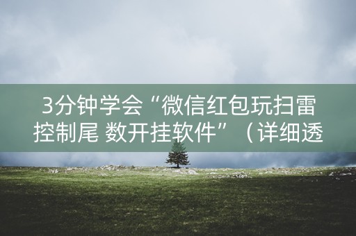 3分钟学会“微信红包玩扫雷控制尾 数开挂软件”（详细透视教程）-哔哩哔哩