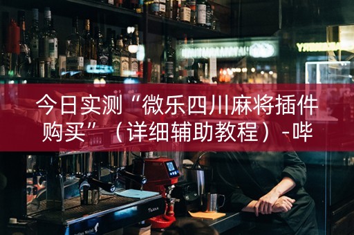 今日实测“微乐四川麻将插件购买”（详细辅助教程）-哔哩哔哩