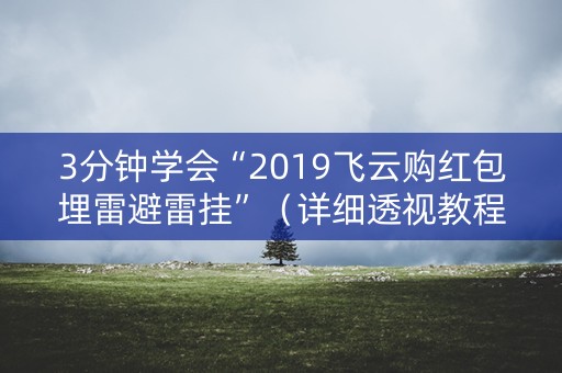 3分钟学会“2019飞云购红包埋雷避雷挂”（详细透视教程）-哔哩哔哩