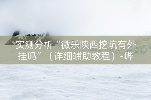 实测分析“微乐陕西挖坑有外挂吗”（详细辅助教程）-哔哩哔哩