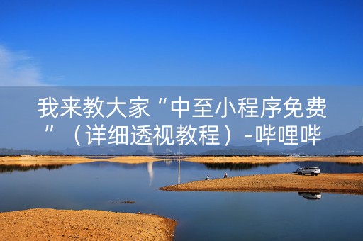 我来教大家“中至小程序免费”（详细透视教程）-哔哩哔哩