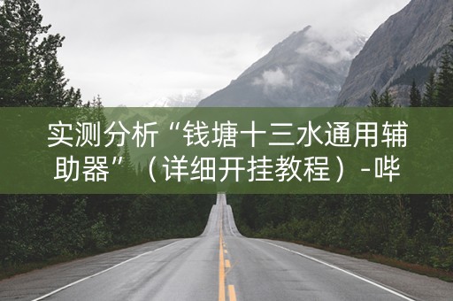 实测分析“钱塘十三水通用辅助器”（详细开挂教程）-哔哩哔哩