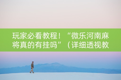 玩家必看教程！“微乐河南麻将真的有挂吗”（详细透视教程）-哔哩哔哩