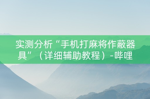 实测分析“手机打麻将作蔽器具”（详细辅助教程）-哔哩哔哩