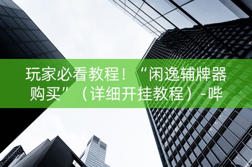 玩家必看教程！“闲逸辅牌器购买”（详细开挂教程）-哔哩哔哩