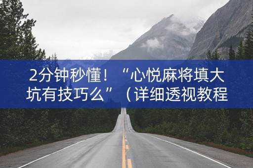 2分钟秒懂！“心悦麻将填大坑有技巧么”（详细透视教程）-哔哩哔哩