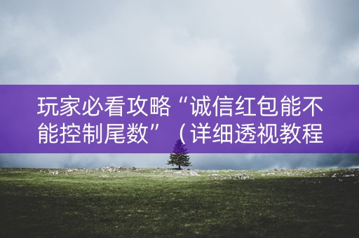 玩家必看攻略“诚信红包能不能控制尾数”（详细透视教程）-哔哩哔哩