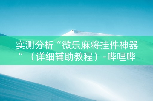 实测分析“微乐麻将挂件神器”（详细辅助教程）-哔哩哔哩