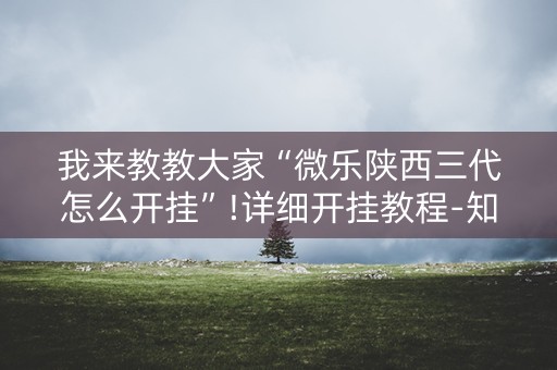 我来教教大家“微乐陕西三代怎么开挂”!详细开挂教程-知乎