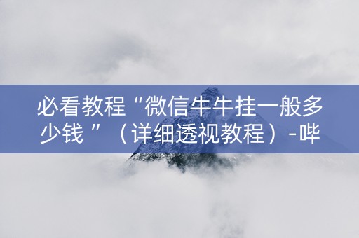 必看教程“微信牛牛挂一般多少钱 ”（详细透视教程）-哔哩哔哩