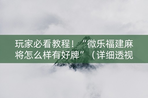 玩家必看教程！“微乐福建麻将怎么样有好牌”（详细透视教程）-哔哩哔哩