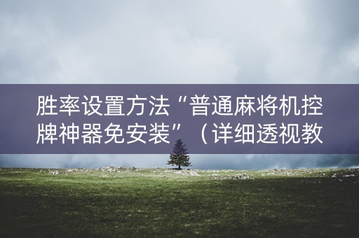 胜率设置方法“普通麻将机控牌神器免安装”（详细透视教程）-哔哩哔哩