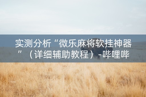 实测分析“微乐麻将软挂神器”（详细辅助教程）-哔哩哔哩