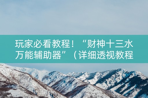 玩家必看教程！“财神十三水万能辅助器”（详细透视教程）-哔哩哔哩