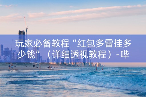 玩家必备教程“红包多雷挂多少钱”（详细透视教程）-哔哩哔哩