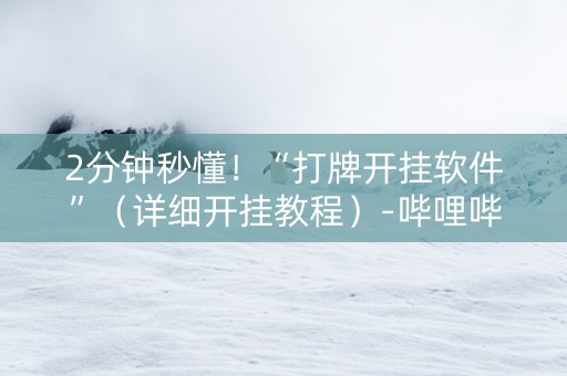 2分钟秒懂！“打牌开挂软件”（详细开挂教程）-哔哩哔哩