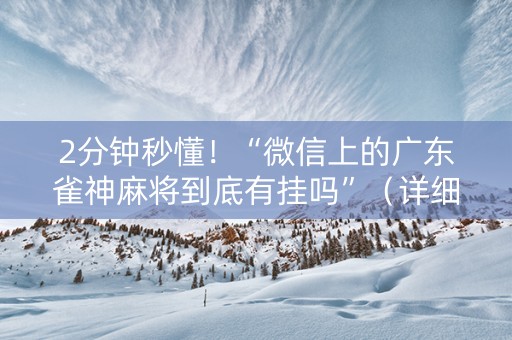 2分钟秒懂！“微信上的广东雀神麻将到底有挂吗”（详细辅助教程）-哔哩哔哩