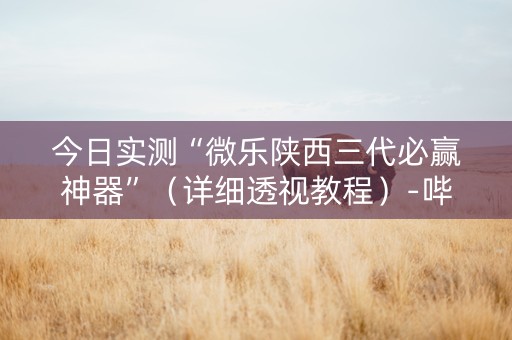 今日实测“微乐陕西三代必赢神器”（详细透视教程）-哔哩哔哩