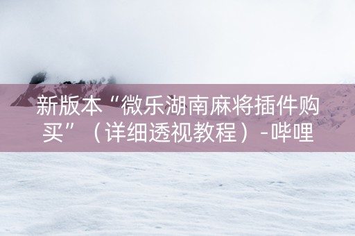 新版本“微乐湖南麻将插件购买”（详细透视教程）-哔哩哔哩