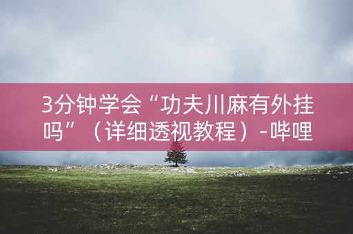 3分钟学会“功夫川麻有外挂吗”（详细透视教程）-哔哩哔哩