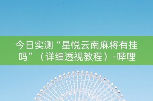 今日实测“星悦云南麻将有挂吗”（详细透视教程）-哔哩哔哩