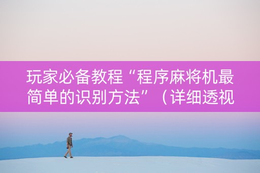 玩家必备教程“程序麻将机最简单的识别方法”（详细透视教程）-哔哩哔哩