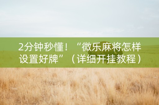 2分钟秒懂！“微乐麻将怎样设置好牌”（详细开挂教程）-哔哩哔哩