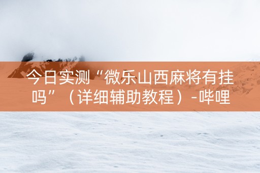 今日实测“微乐山西麻将有挂吗”（详细辅助教程）-哔哩哔哩