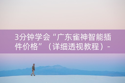 3分钟学会“广东雀神智能插件价格”（详细透视教程）-哔哩哔哩