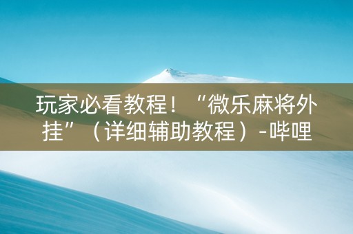 玩家必看教程！“微乐麻将外挂”（详细辅助教程）-哔哩哔哩