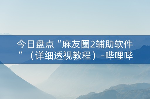 今日盘点“麻友圈2辅助软件”（详细透视教程）-哔哩哔哩